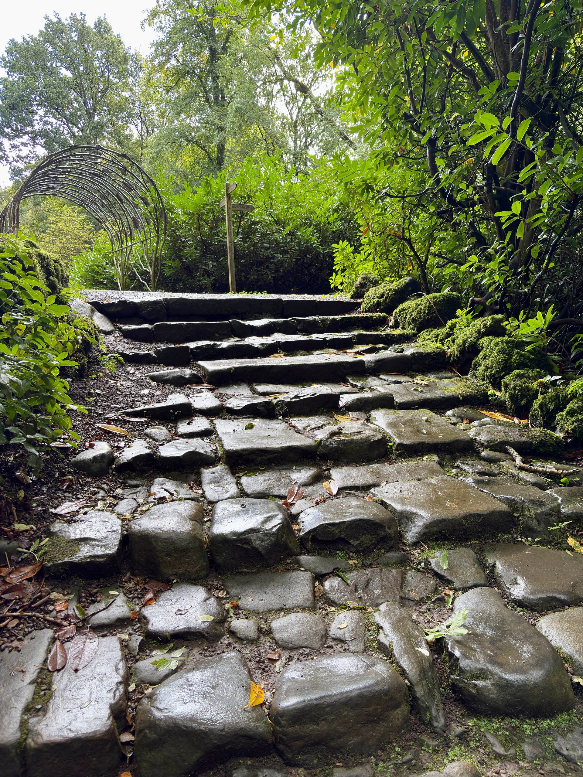 A peaceful stone pathway leads up mossy steps