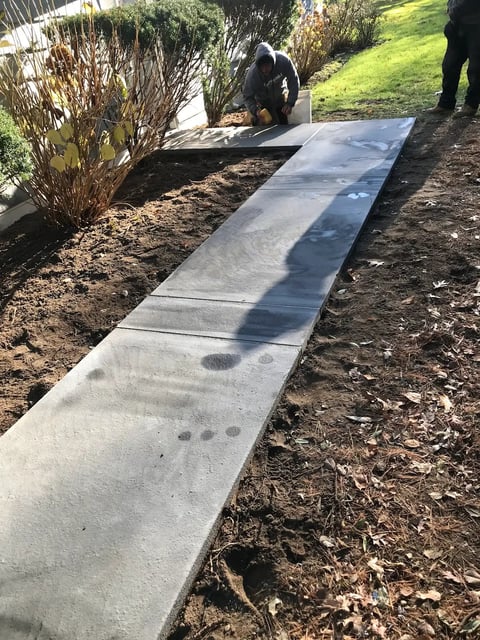 Concrete pathway being installed along garden bed with worker in background and landscaping visible